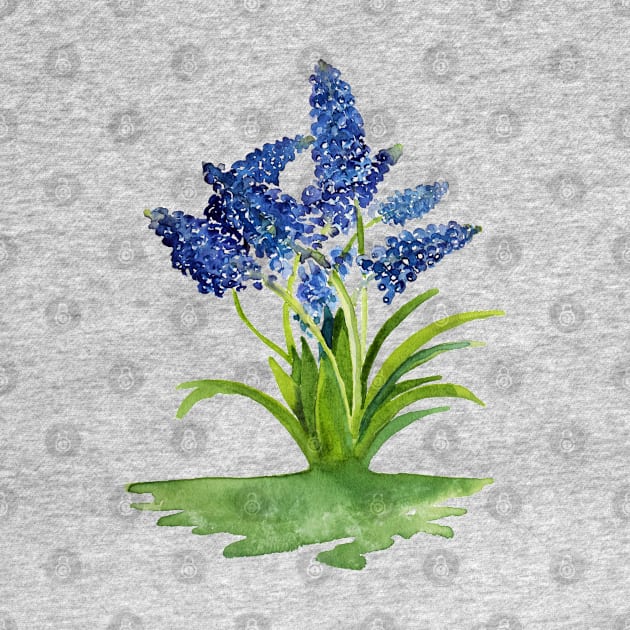 Grape Hyacinths by Kirsty Topps
